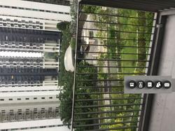 Eco Sanctuary (D23), Condominium #131364652